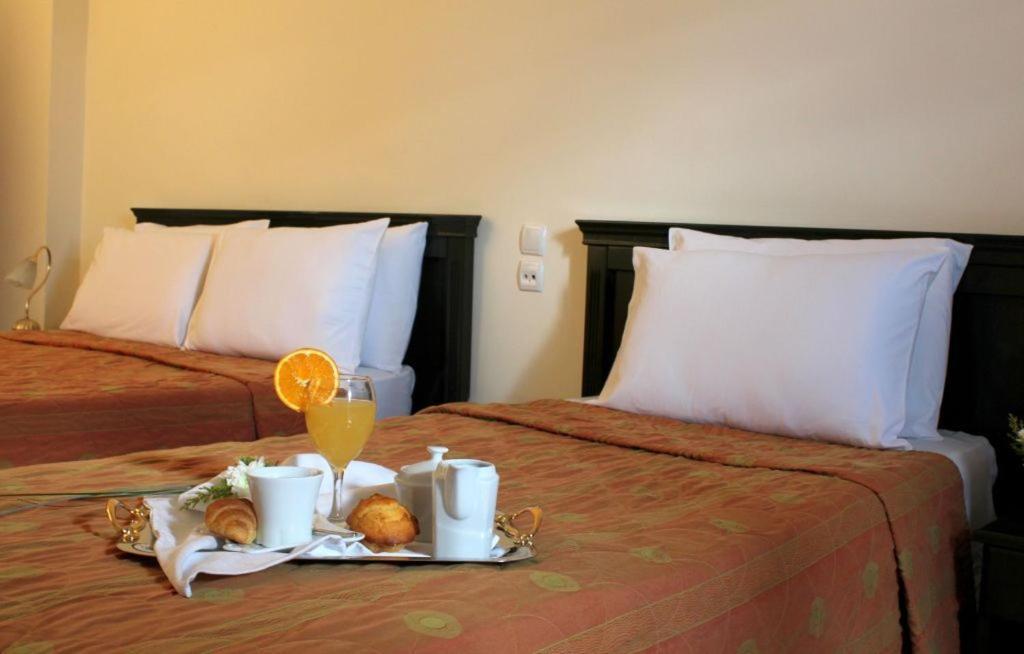 Famissi Eden Hotel Kalambaka Room photo